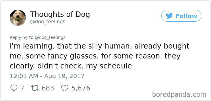 Dog Thoughts