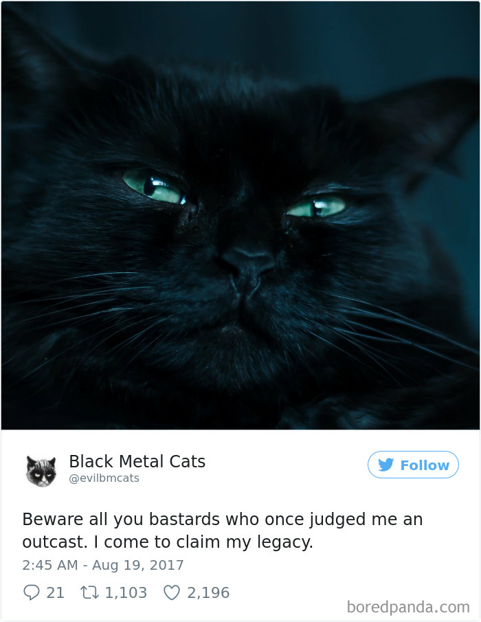Black-metal-cats-lyrics-tweets