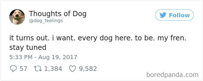 Dog Thoughts