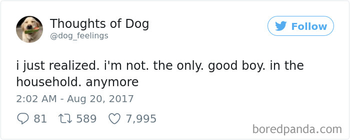 Dog Thoughts