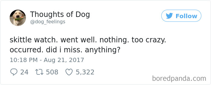 Dog Thoughts