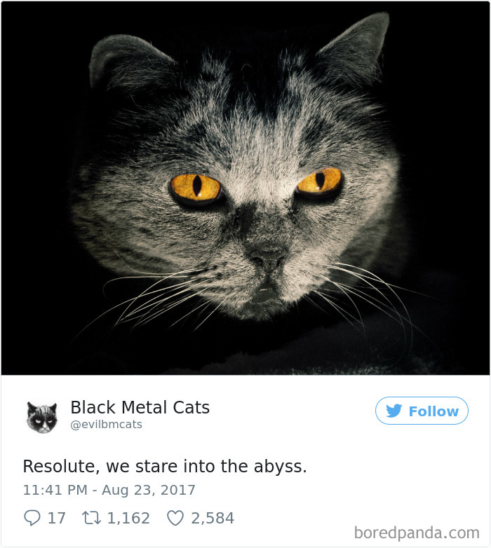 Black-metal-cats-lyrics-tweets