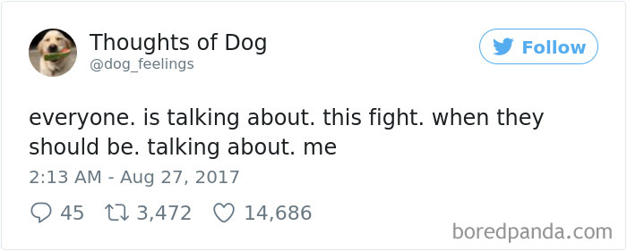 Dog Thoughts
