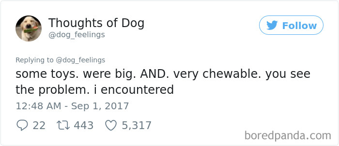 Dog Thoughts
