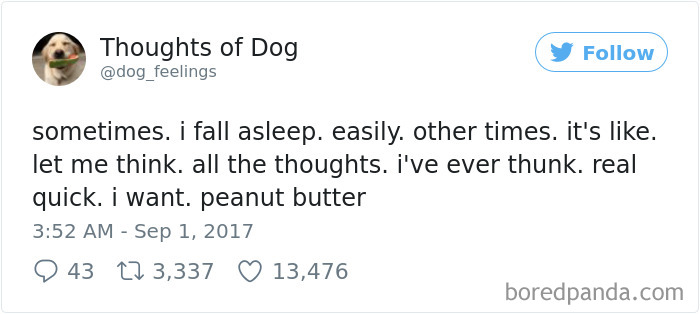 Dog Thoughts