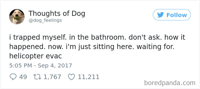 Dog Thoughts