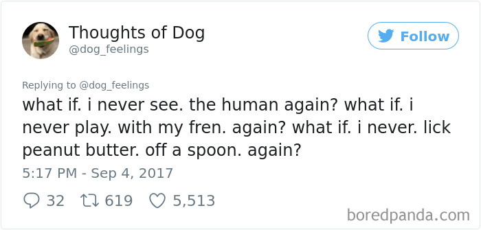 Dog Thoughts