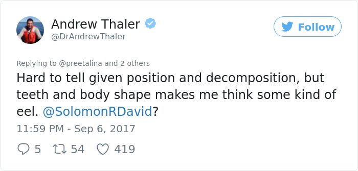 Mysterious Eyeless Creature Washes Up On Texas Beach After Hurricane Harvey, And It's Terrifying