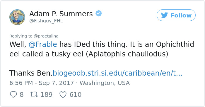 Mysterious Eyeless Creature Washes Up On Texas Beach After Hurricane Harvey, And It's Terrifying Mysterious Eyeless Creature Washes Up On Texas Beach After Hurricane Harvey, And It's Terrifying