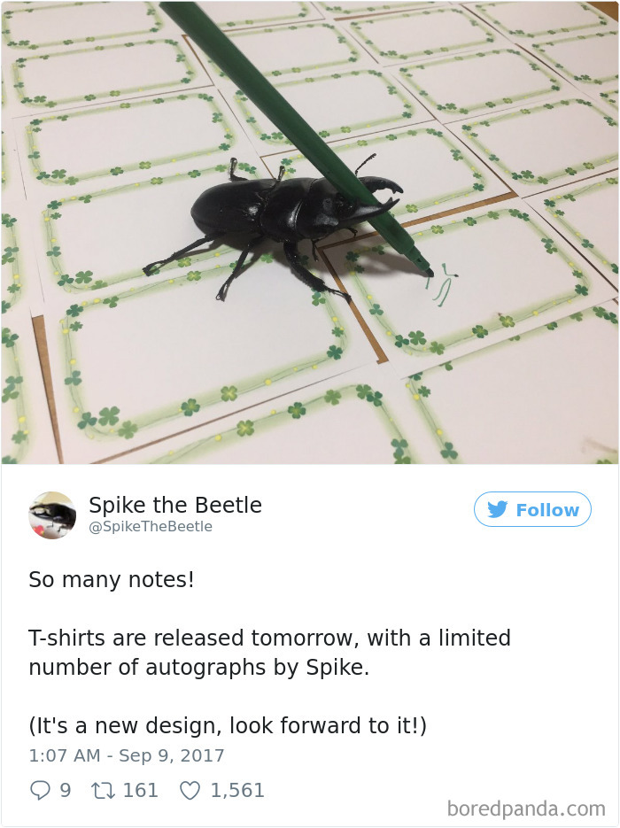 Drawing-bug-spike-the-beetle-japan