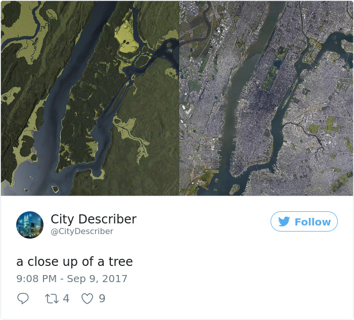 Microsoft’s Ai Fails At Captioning Picturesque Cityscapes To Hilarious Effect