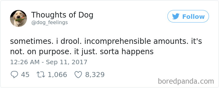 Dog Thoughts