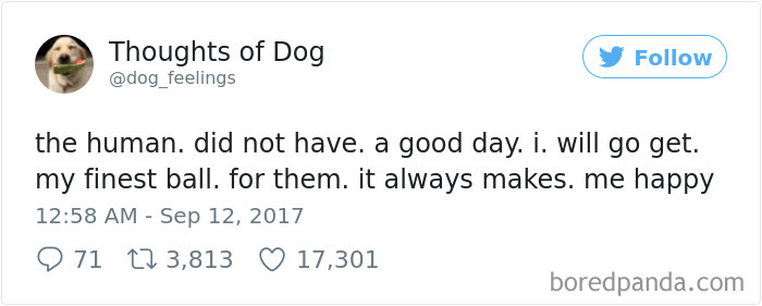 Dog Thoughts