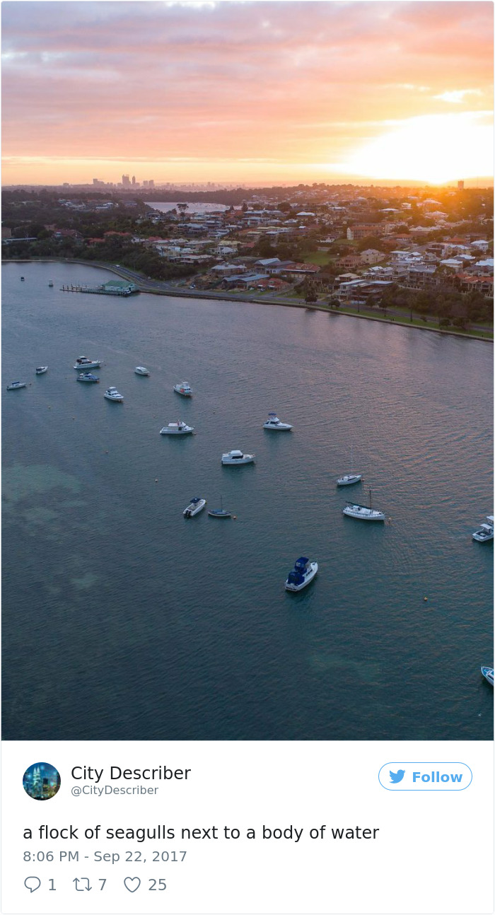 Microsoft’s Ai Fails At Captioning Picturesque Cityscapes To Hilarious Effect