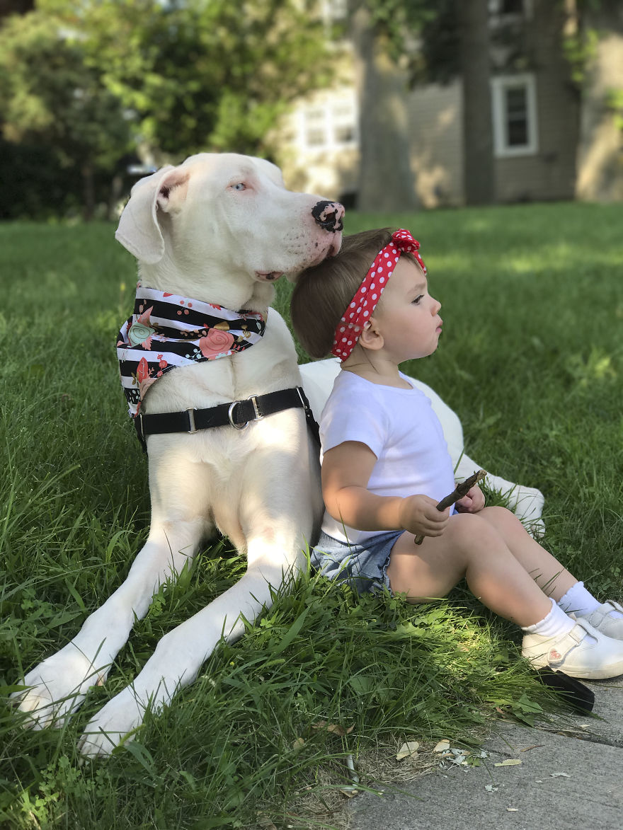 A Girl And Her (Deaf) Dog A Girl And Her (Deaf) Dog