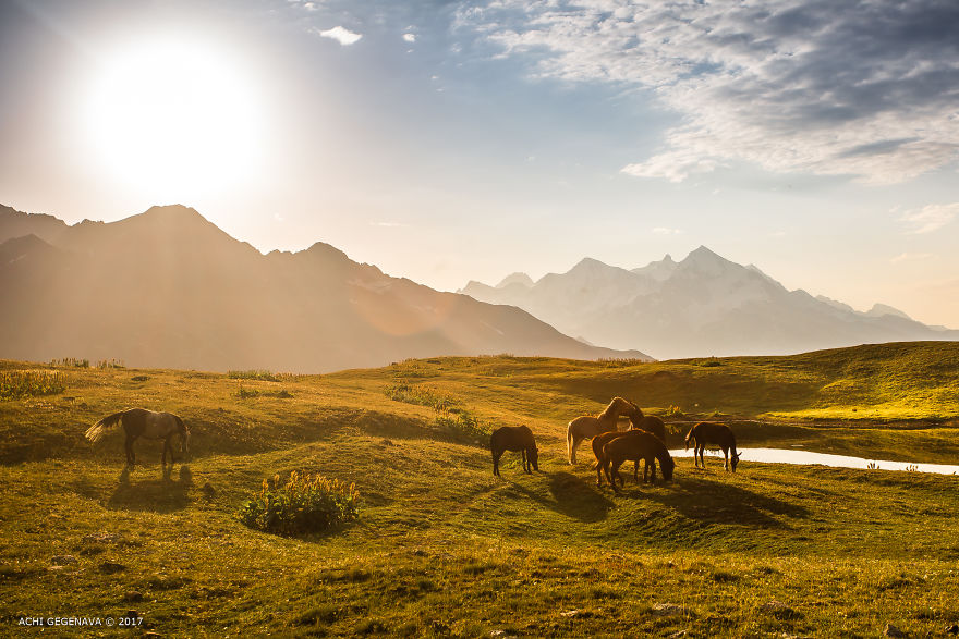 This Is My Countri - Georgia