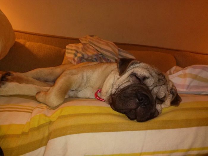 Agnes Settles Right In