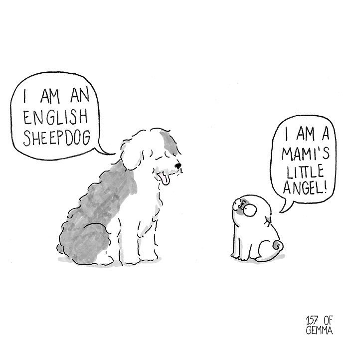 Pug-mochi-comic-gemma-gene