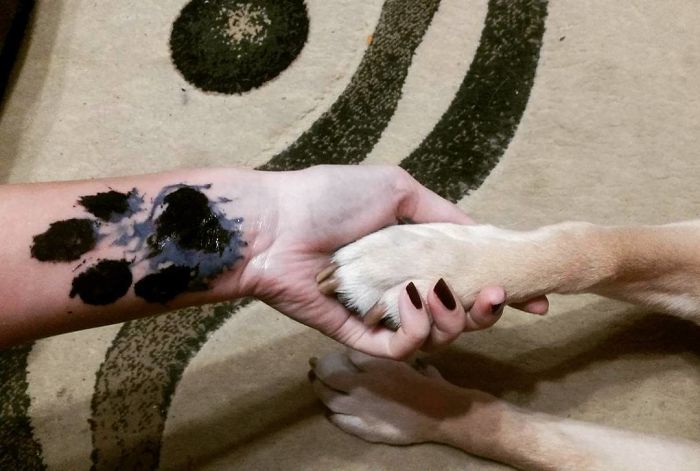 Dog paw print tattoo on wrist, hand holding dog's paw, showcasing pawesome tattoo design.