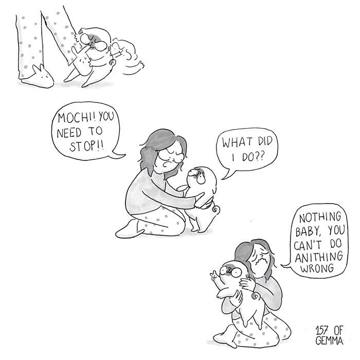 Pug-mochi-comic-gemma-gene