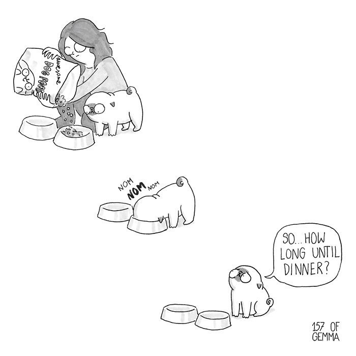 Pug-mochi-comic-gemma-gene
