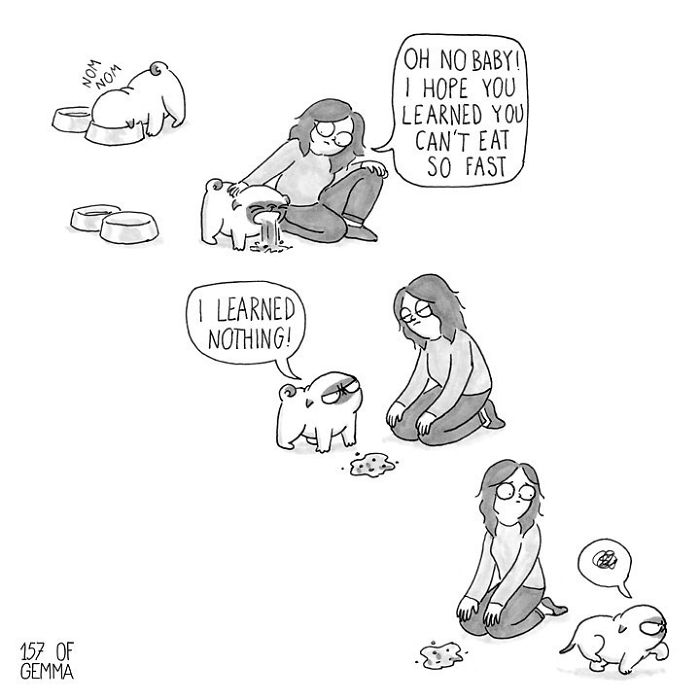 Pug-mochi-comic-gemma-gene