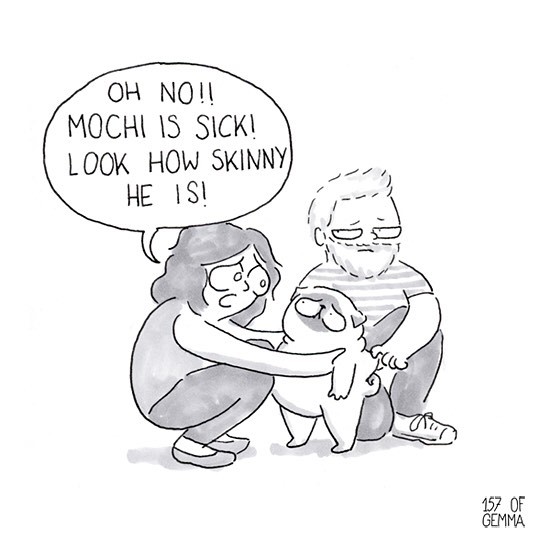 Pug-mochi-comic-gemma-gene