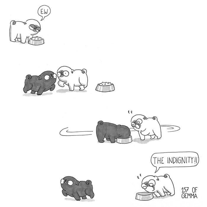 Pug-mochi-comic-gemma-gene