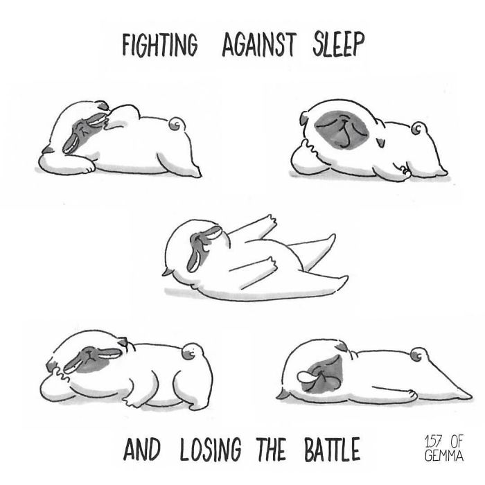 Pug-mochi-comic-gemma-gene