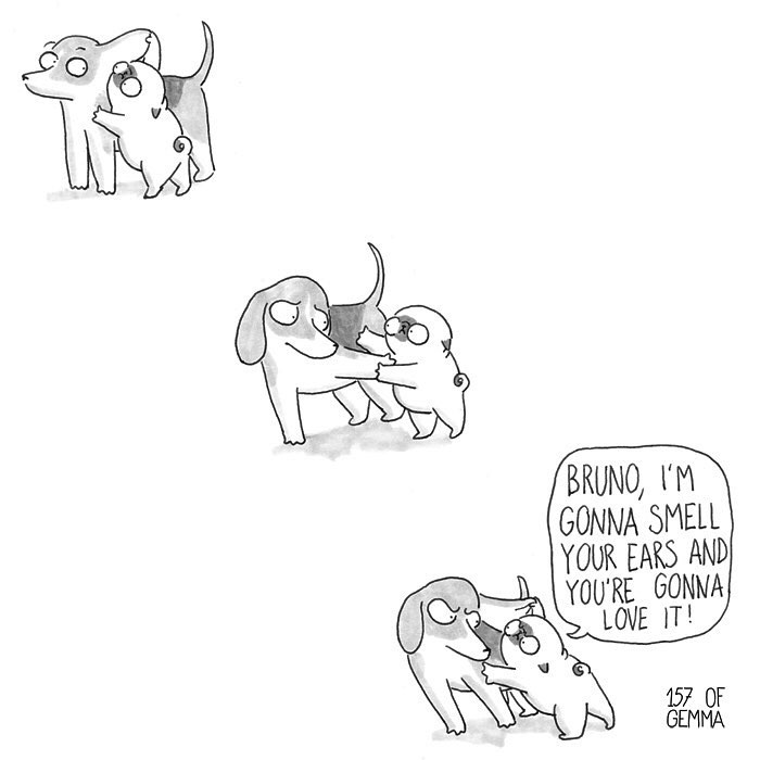 Pug-mochi-comic-gemma-gene