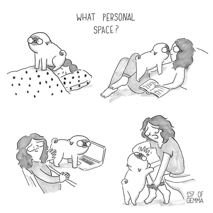 Pug-mochi-comic-gemma-gene