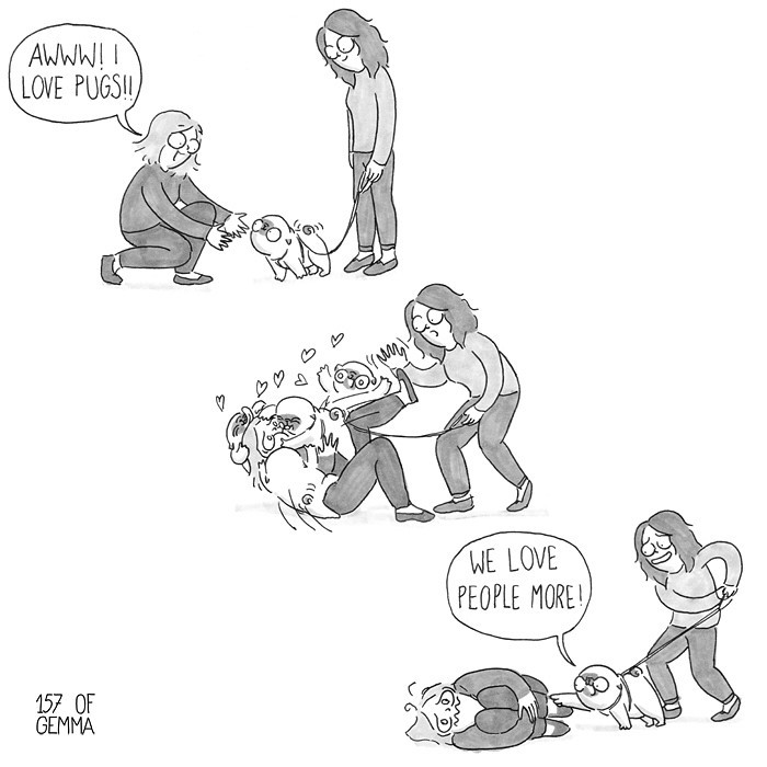 Pug-mochi-comic-gemma-gene