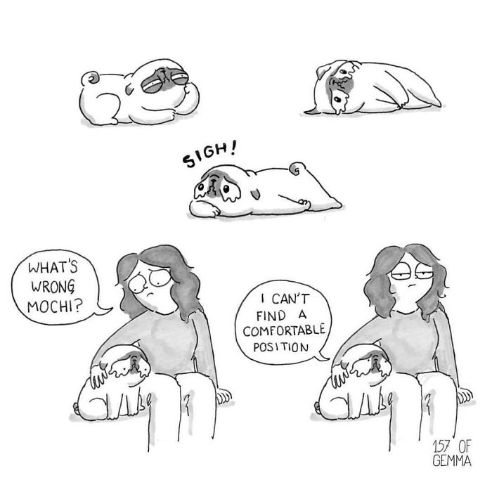 Pug-mochi-comic-gemma-gene