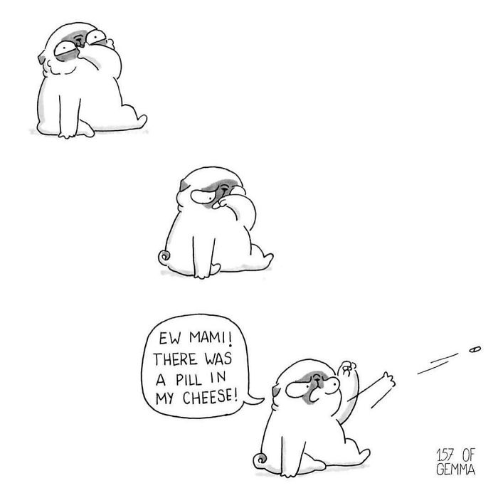 Pug-mochi-comic-gemma-gene