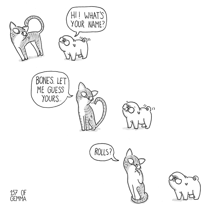 Pug-mochi-comic-gemma-gene