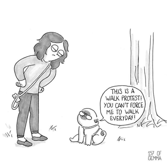 Pug-mochi-comic-gemma-gene