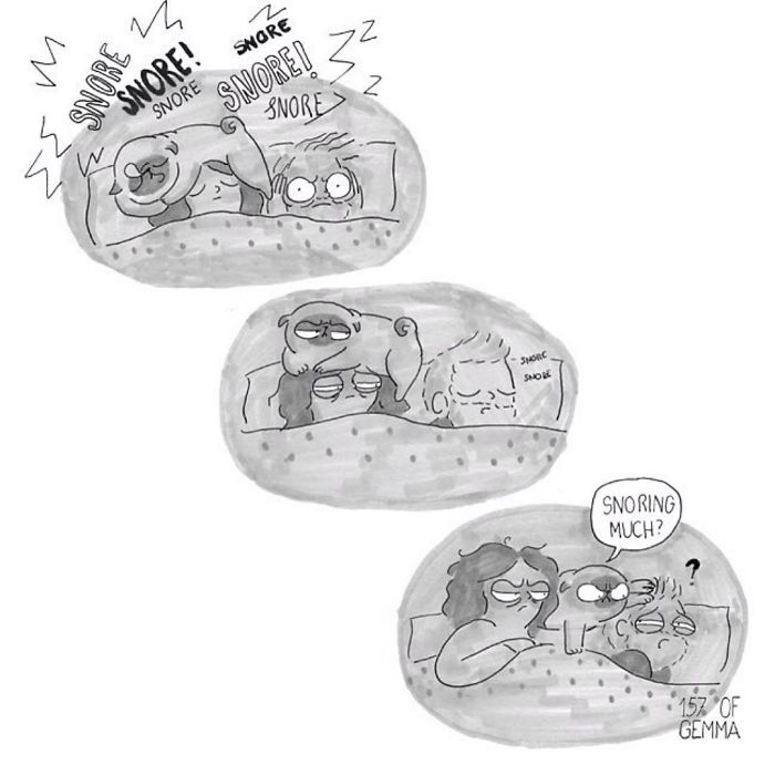 Pug-mochi-comic-gemma-gene