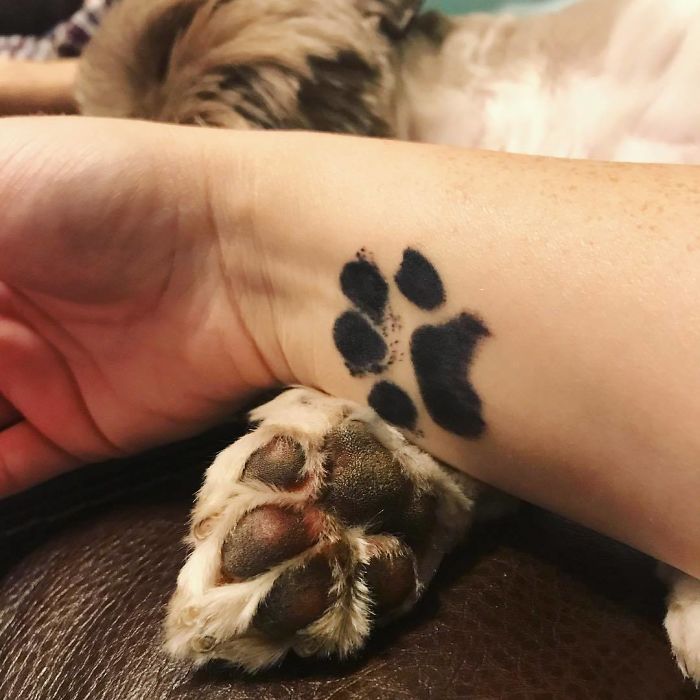 Dog paw print tattoo on a person's wrist next to an actual dog paw.