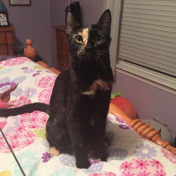 Ruby With Interesting Mark On Her Face