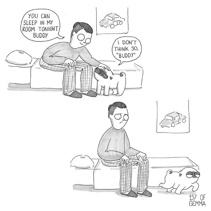 Pug-mochi-comic-gemma-gene