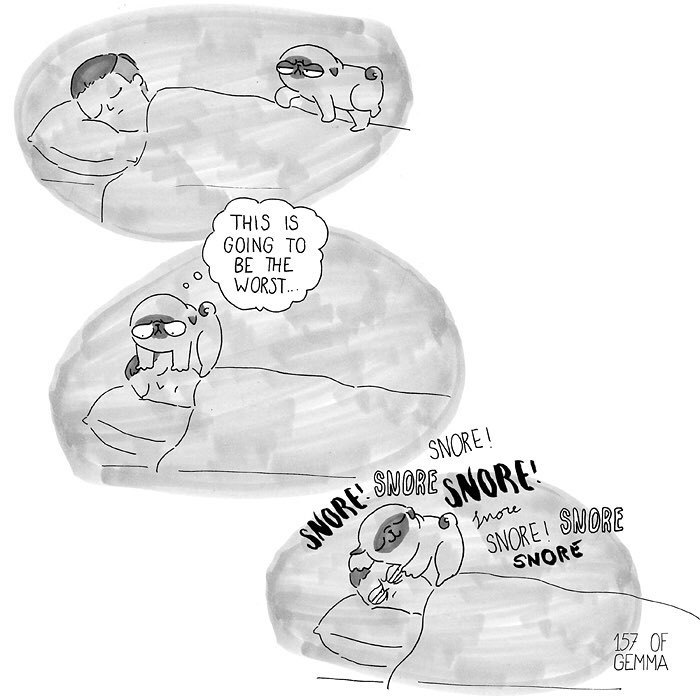 Pug-mochi-comic-gemma-gene