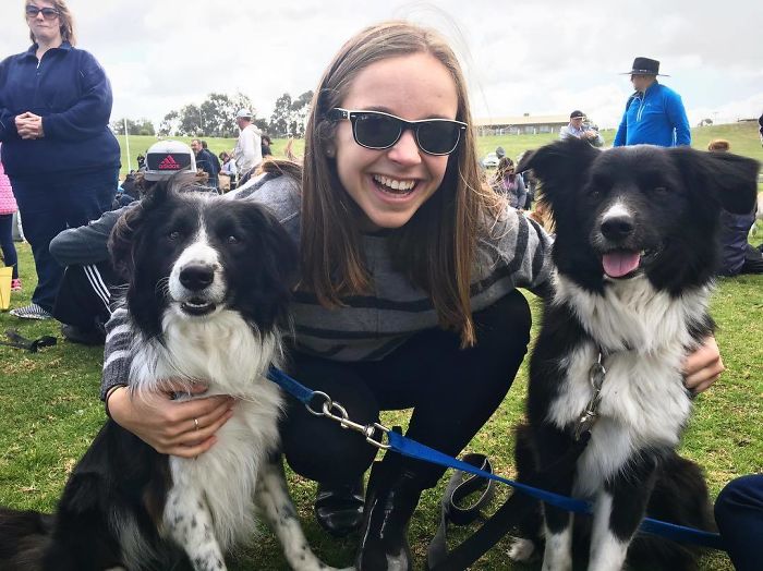 576 Border Collies Get Together In One Place To Break A World Record 576 Border Collies Get Together In One Place To Break A World Record
