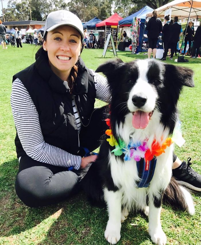 576 Border Collies Get Together In One Place To Break A World Record 576 Border Collies Get Together In One Place To Break A World Record
