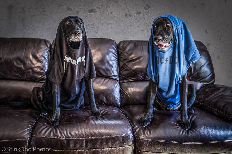 I Was Told To Watch Out For This Dog When I Was Photographing Him At A Rescue. Instead I Adopted Him