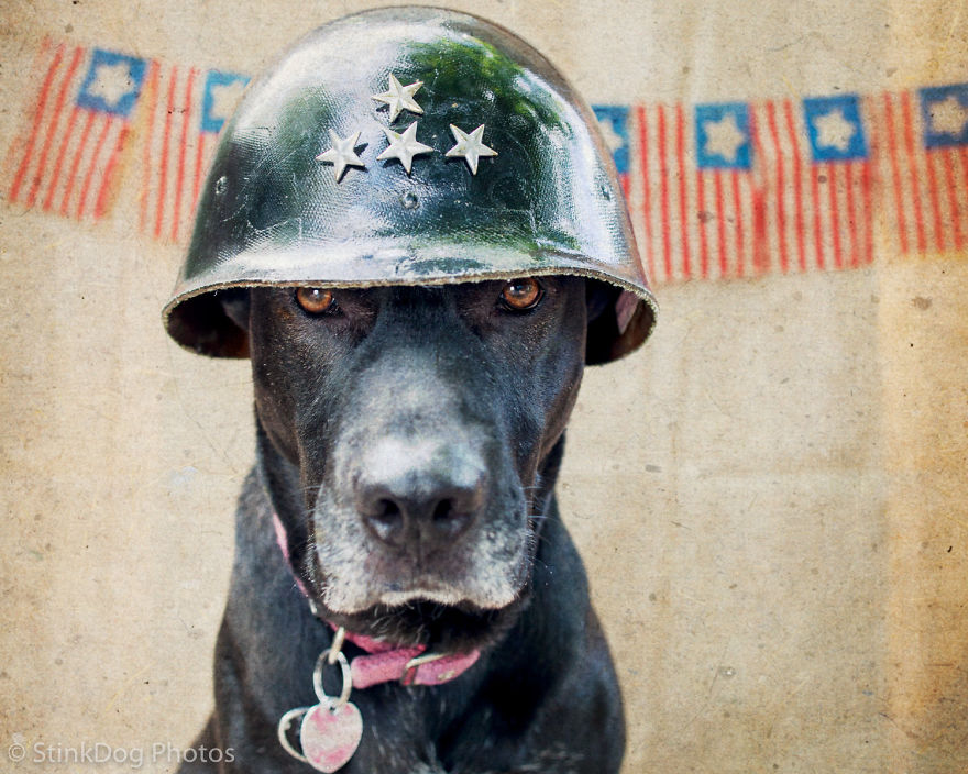 I Was Told To Watch Out For This Dog When I Was Photographing Him At A Rescue. Instead I Adopted Him