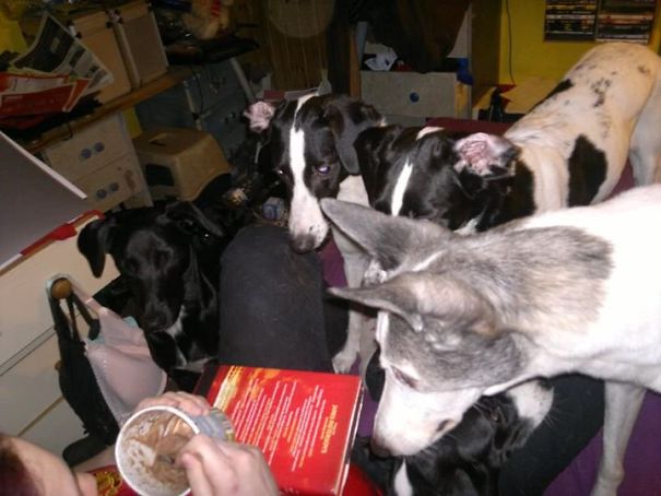 Mum Won't Share Ice Cream....