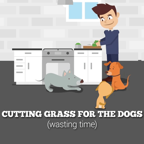 I Animated Some Romanian Idioms So You Can See How Strange We Are