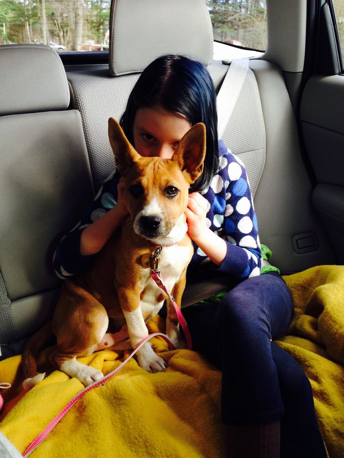 On The Way Home From The Shelter.