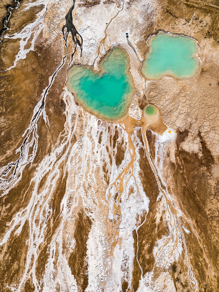 The Heart Looks Alive But Everything Around It Looks Kind Of Dead