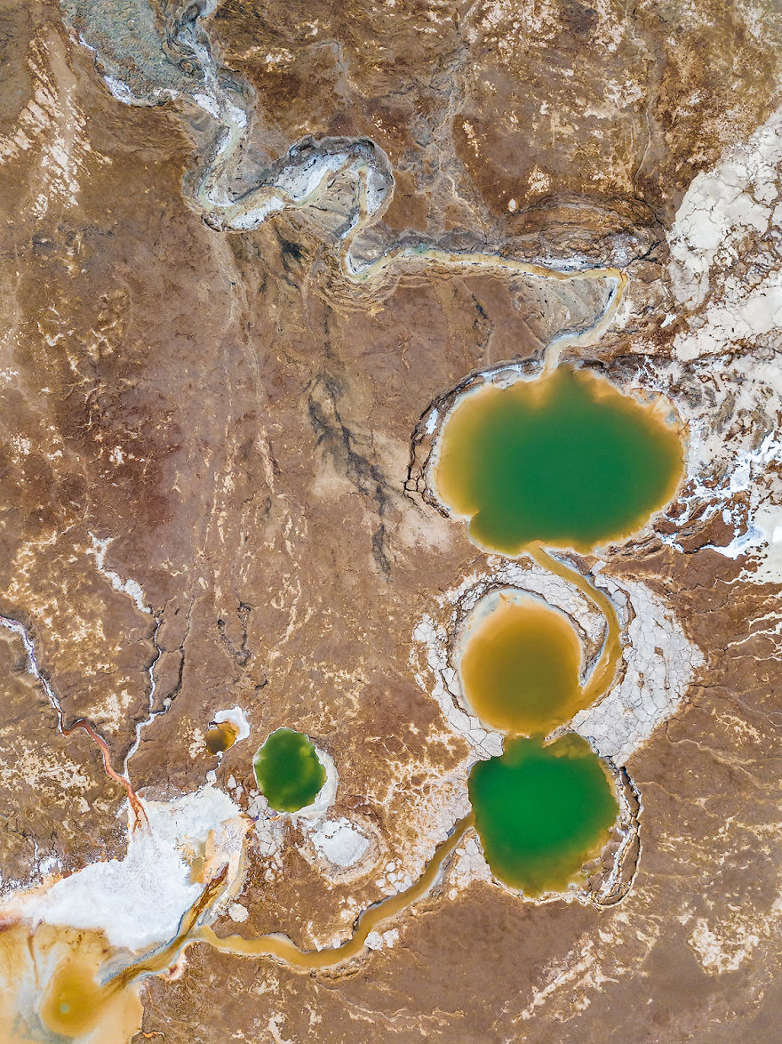 The Digestive System, Gallbladder And Urine Bladder